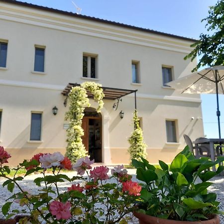 Villa Marietta Country House - Marche Montemaggiore al Metauro Buitenkant foto