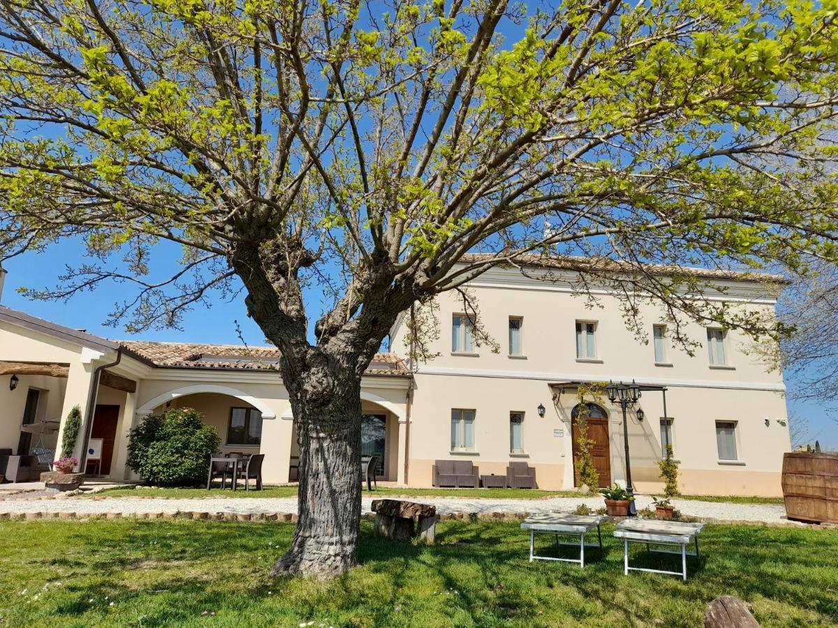 Villa Marietta Country House - Marche Montemaggiore al Metauro Buitenkant foto