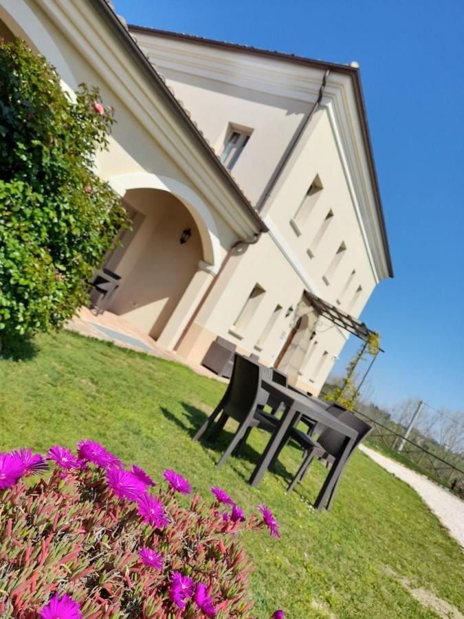 Villa Marietta Country House - Marche Montemaggiore al Metauro Buitenkant foto