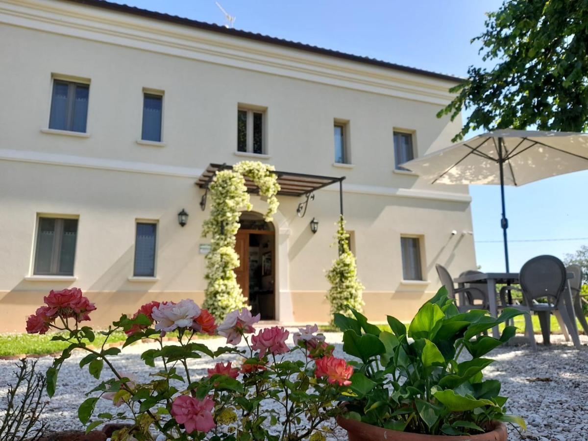 Villa Marietta Country House - Marche Montemaggiore al Metauro Buitenkant foto