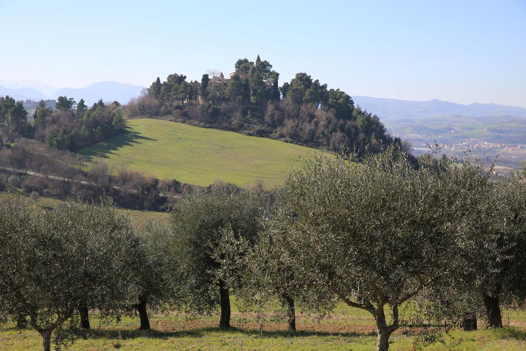 Villa Marietta Country House - Marche Montemaggiore al Metauro Buitenkant foto