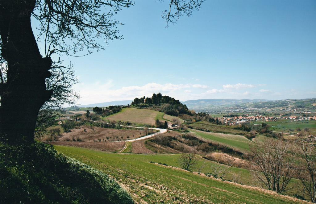 Villa Marietta Country House - Marche Montemaggiore al Metauro Buitenkant foto